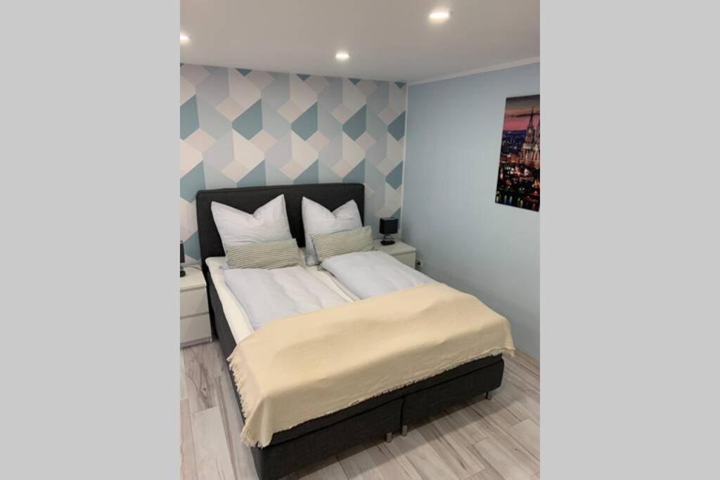 Modern Renovated Apartment Suited For Business Consultants - In Close Distance To Dt, Dhl And Un Campus - Reserved Parking 波恩 外观 照片